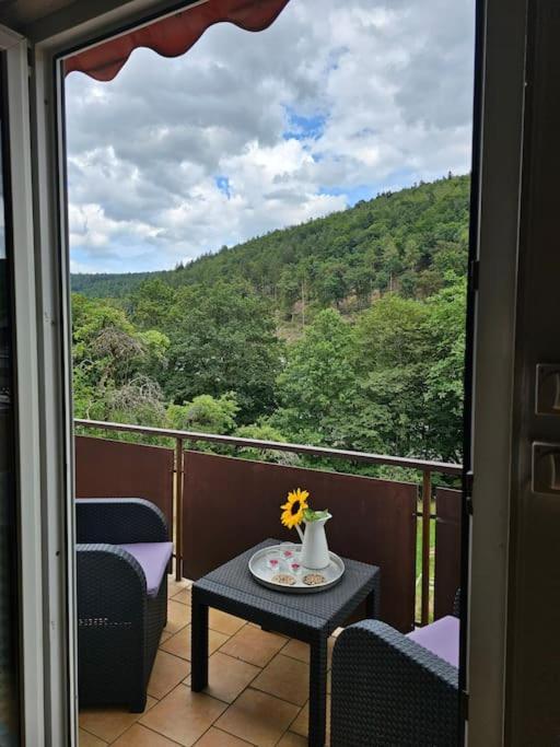 Grosse Ferienwohnung Am Waldrand Schonau  Bagian luar foto